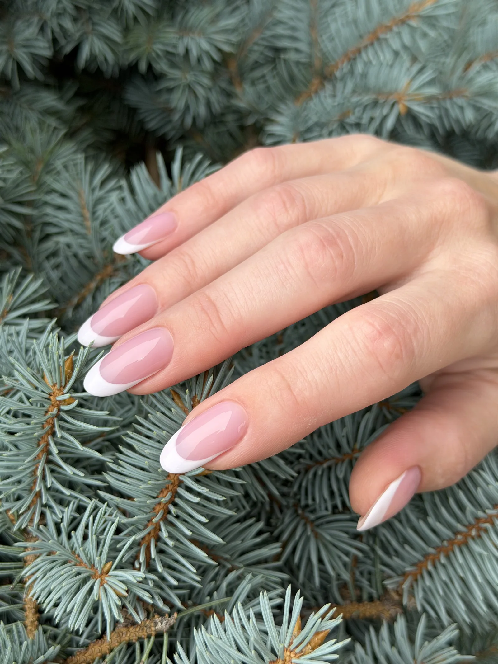 Classic white French tips on long almond nails
